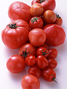 西武池袋本店で「トマトフェア」−濃厚トマトも初登場