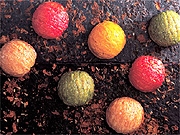 「アンリ・シャルパンティエ」に新作パイ菓子−カラフル4種